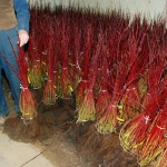Bare root