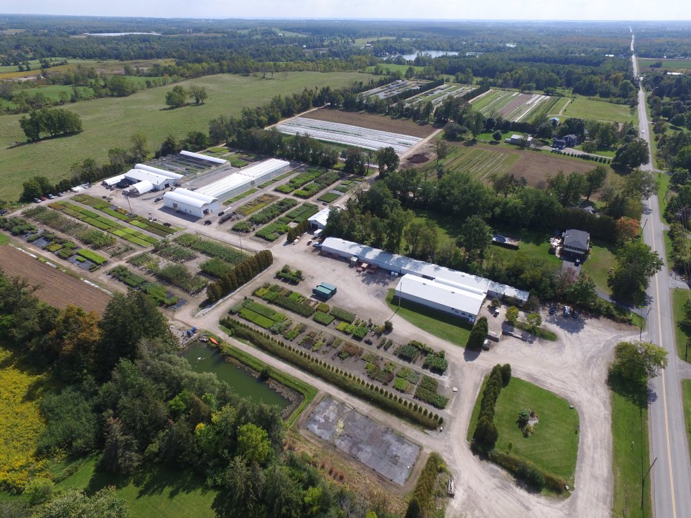 Verbinnen's Nursery Ontario native plant nursery for landscaping and