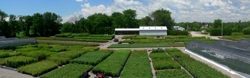 Verbinnen's Nursery