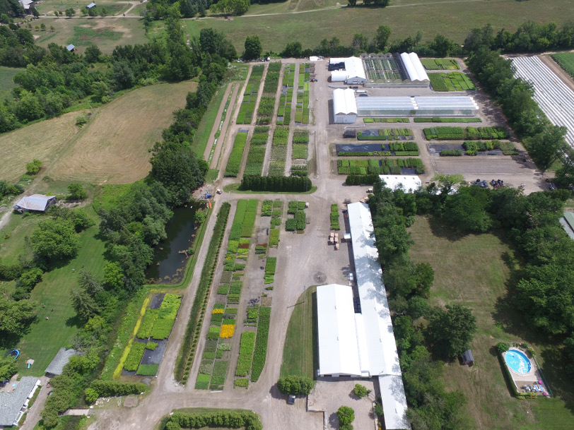 Verbinnen's Nursery Ontario native plant nursery for landscaping and